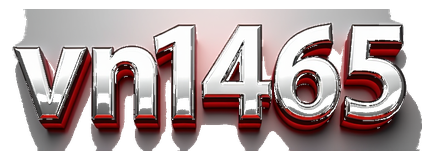 vn1465 logo